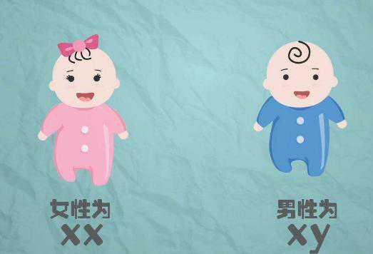 上海一妇婴做试管夫妻检查正常成功率多少