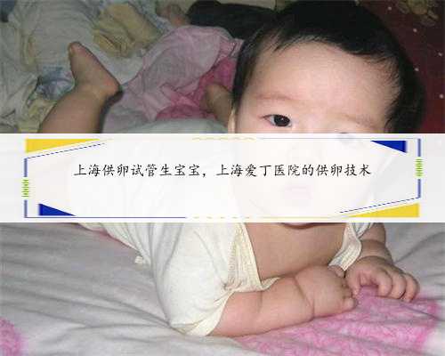 上海供卵试管生宝宝，上海爱丁医院的供卵技术