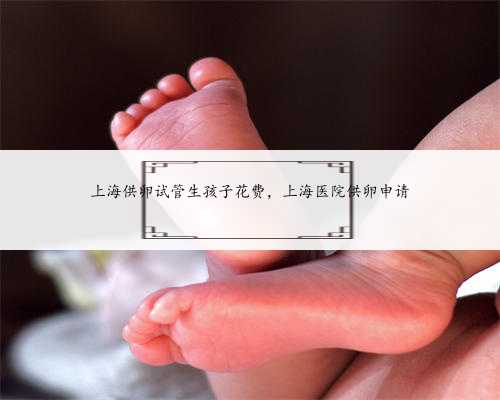 上海供卵试管生孩子花费，上海医院供卵申请