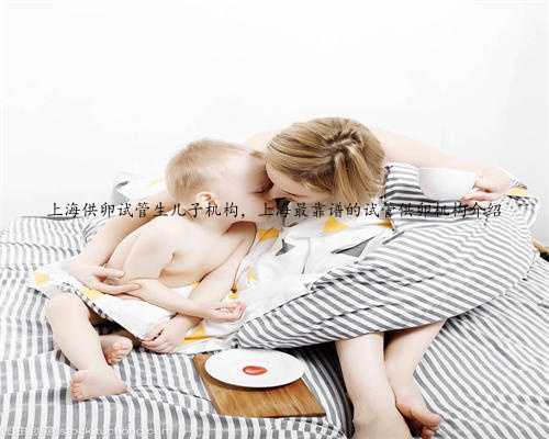 上海供卵试管生儿子机构，上海最靠谱的试管供卵机构介绍