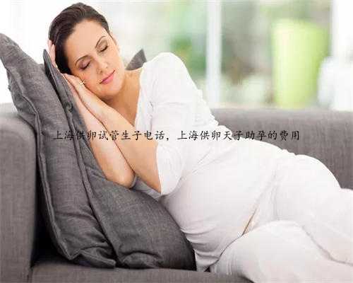 上海供卵试管生子电话，上海供卵天子助孕的费用