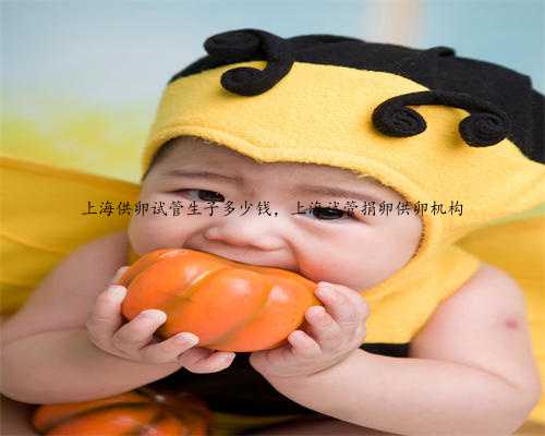 上海供卵试管生子多少钱，上海试管捐卵供卵机构
