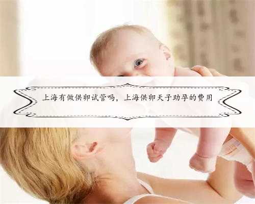 上海有做供卵试管吗，上海供卵天子助孕的费用