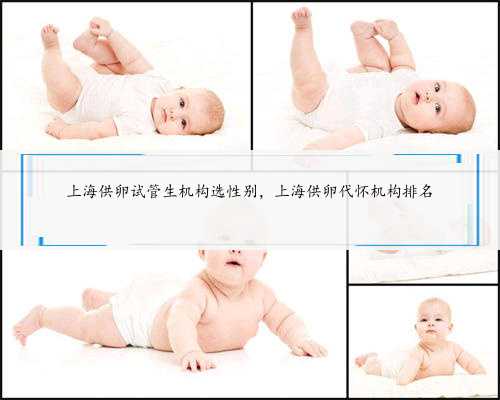 上海供卵试管生机构选性别，上海供卵代怀机构排名