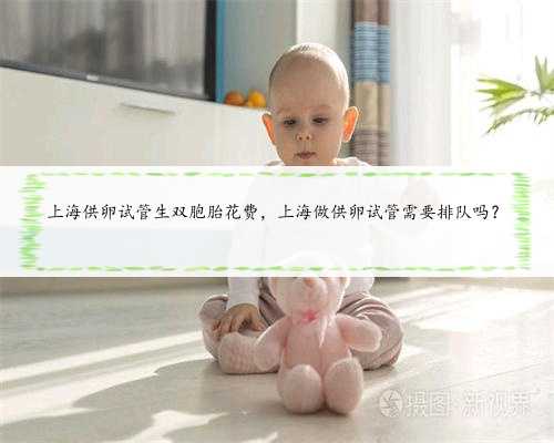 上海供卵试管生双胞胎花费，上海做供卵试管需要排队吗？