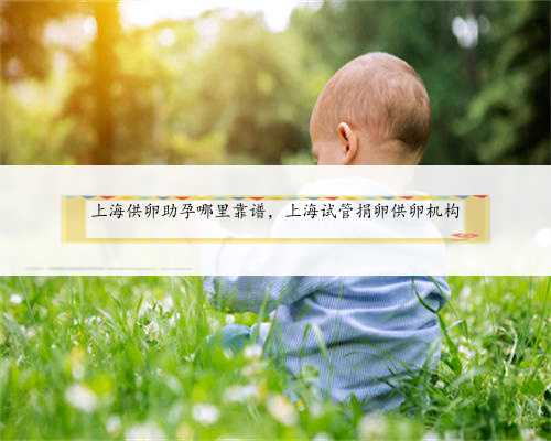 上海供卵助孕哪里靠谱，上海试管捐卵供卵机构