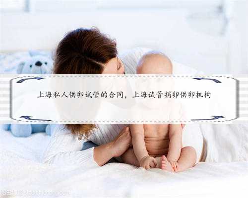 上海私人供卵试管的合同，上海试管捐卵供卵机构