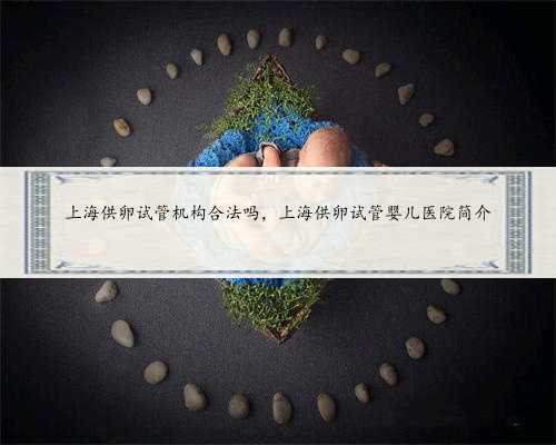 上海供卵试管机构合法吗，上海供卵试管婴儿医院简介