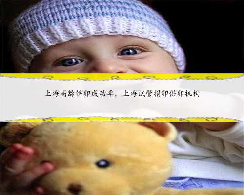 上海高龄供卵成动率，上海试管捐卵供卵机构