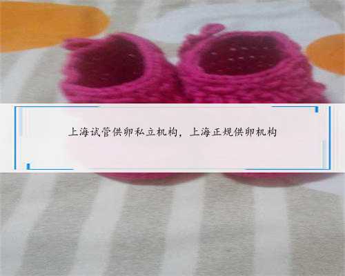 上海试管供卵私立机构，上海正规供卵机构