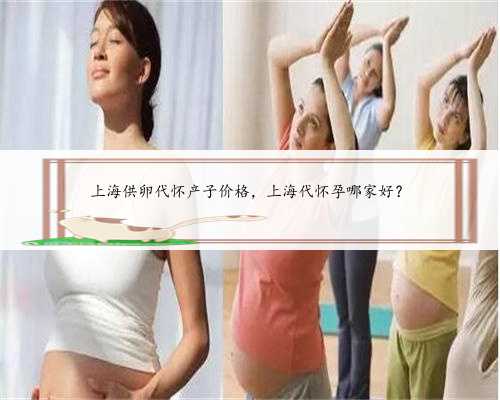 上海供卵代怀产子价格，上海代怀孕哪家好？