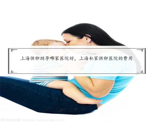 上海供卵助孕哪家医院好，上海私家供卵医院的费用