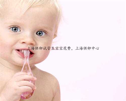 上海供卵试管生宝宝花费，上海供卵中心