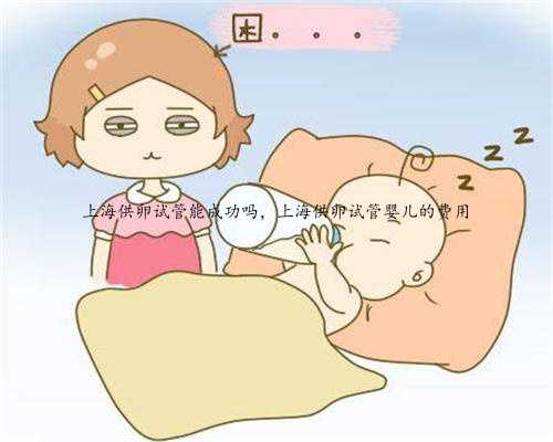 上海供卵试管能成功吗，上海供卵试管婴儿的费用