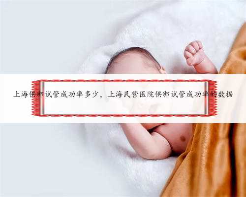 上海供卵试管成功率多少，上海民营医院供卵试管成功率的数据