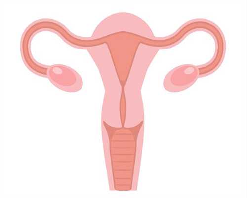 助孕排卵试纸显示什么更新时间2017-11-06：代孕中