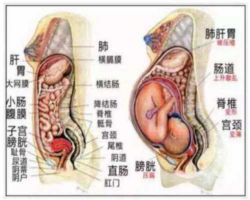 孕妇胃酸烧心怎么办如何缓解孕妇胃酸烧心：西