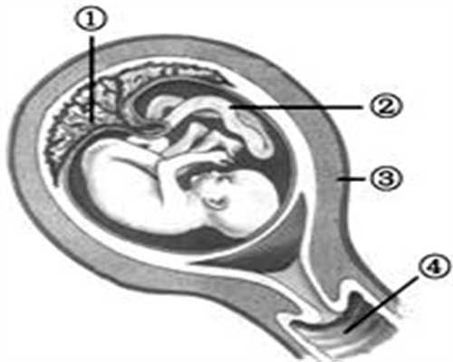 胎停育，助孕做个孕前检查