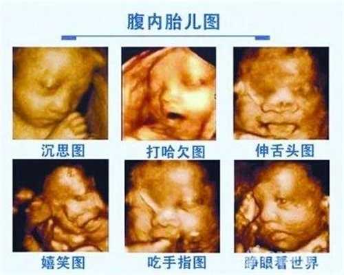 代孕六个月胎动不明显正常吗代孕中泰国际