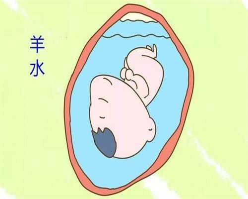 深圳自然同居代孕价格：代孕可以吃鱼泡吗对胎
