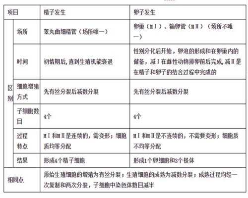 上海地下代孕市场调查：罗永浩太难了，创业失