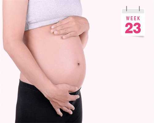 代孕妈妈八胞胎：《新闻1+1》：无偿献血，能与