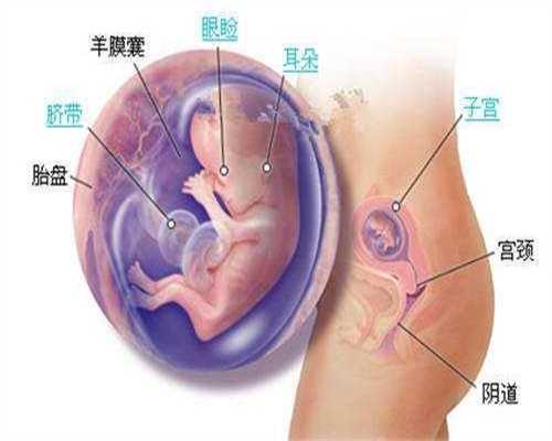 上海代孕最靠谱的公司：孩子缺维生素的症状