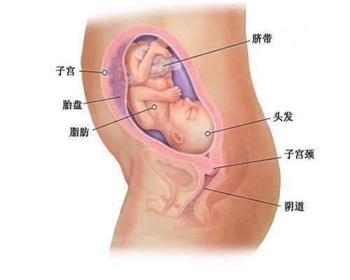 代孕合同无效：代孕后胃里难受怎么办，代孕后