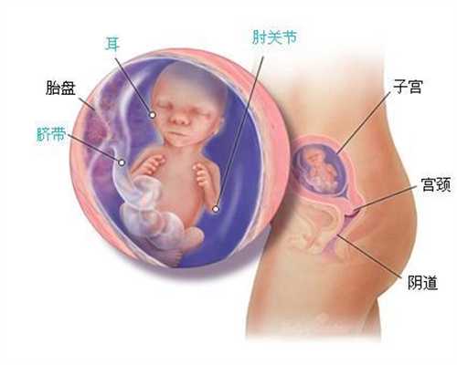 上海代孕包成功价格表：女幼師用注射器扎孩子