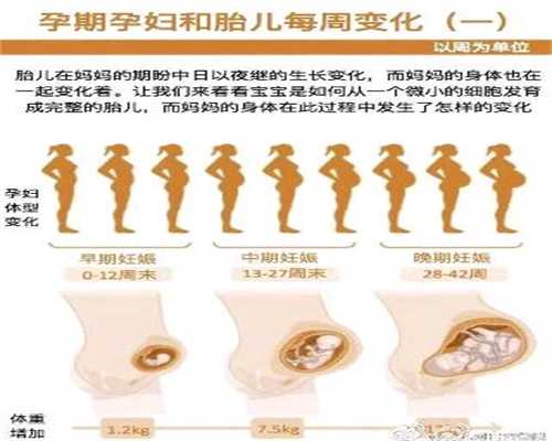 上海代孕机构：助孕期间能喝四物汤吗1