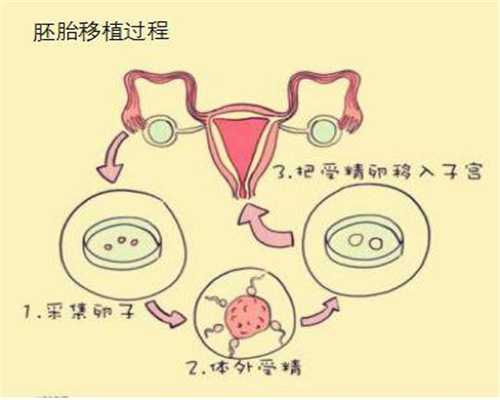 上海代孕中介：孕妇营养汤推荐