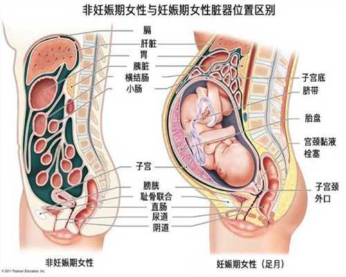 上海专业代孕成功率：代孕可以吃螃蟹吗4