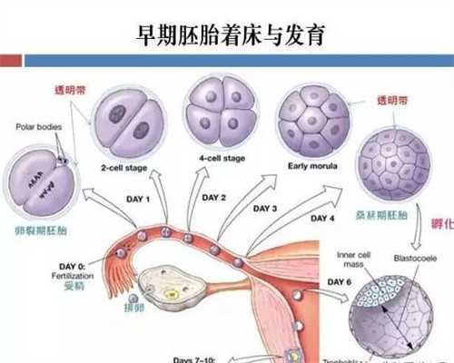 上海提供代孕的公司有哪些：排卵试纸显示强阳