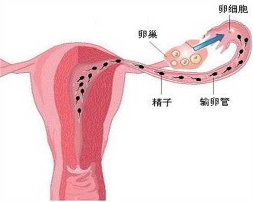 代孕的利与弊:输卵管堵塞该如何诊断
