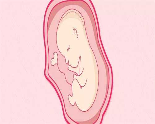 合法代孕哪里做得好:为什么几次流产后就不能生
