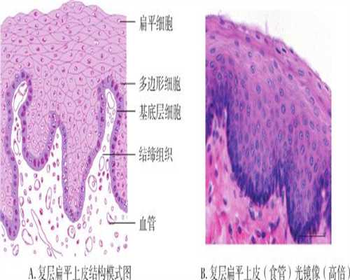 上海代孕条件:女性黄体功能不全需要治多久