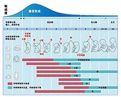 上海代怀孕产子:专业治疗男性不育症哪家医院较
