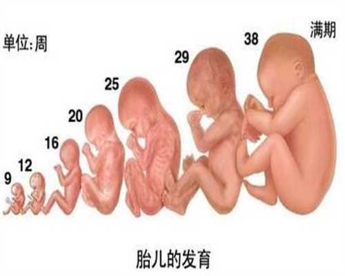 上海代孕知识:美国试管婴儿也不能滥用阿片类药