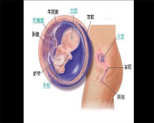 上海代孕的怎么找:怎样提高精子成活率