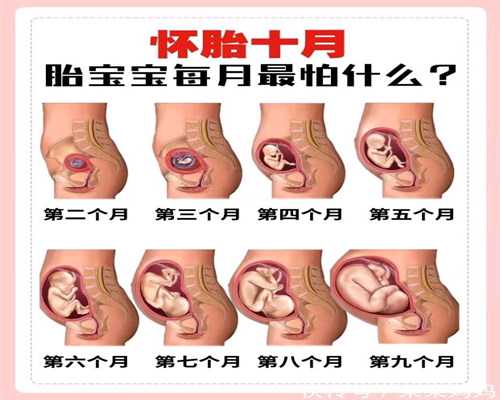 上海试管找捐卵代妈-上海代孕周期多久月经周期