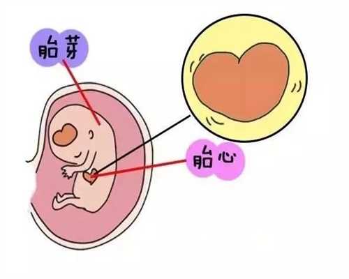 上海代孕妈妈如何收费-好_上海试管供卵代生男孩