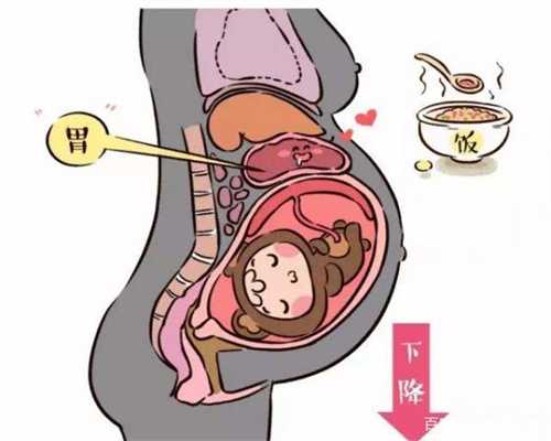 上海代孕试管可以龙凤胎吗-怎么保护卵巢不衰老
