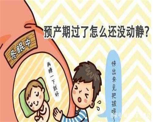 上海供卵试管婴儿多少钱~去做供卵要多少钱 _1