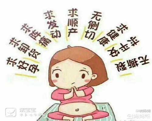 上海代孕是自己亲生的吗_上海借肚子生孩子多少