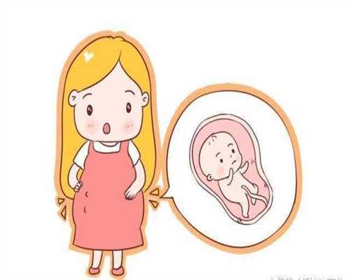 上海提供代孕的公司有哪些_怎么算排卵期最准确
