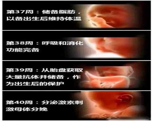 上海供卵试管中心排行_上海代孕后怎么上户口