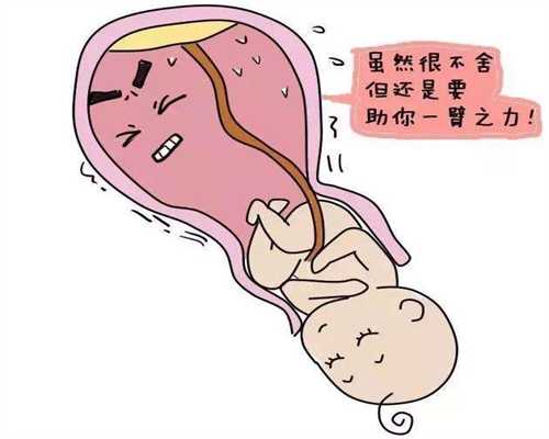 上海借子宫生子需要多少钱_输卵管堵塞狭窄能治