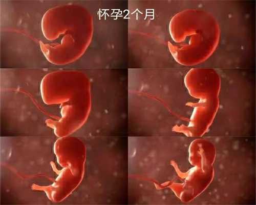 上海找代孕是真是假_“地贫”夫妇可以通过辅助生殖的方式生出无病宝宝吗？