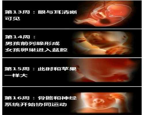上海借卵生子费用，【要具备什么条件才能做供卵】医生说体重大概在6斤半到
