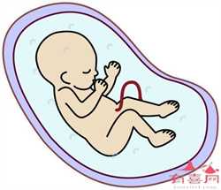 上海代怀孕价格费用，这么多排卵障碍会致不孕，你却只知道多囊卵巢综合征？